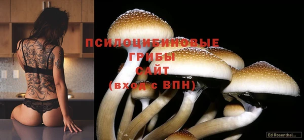 стафф Семикаракорск