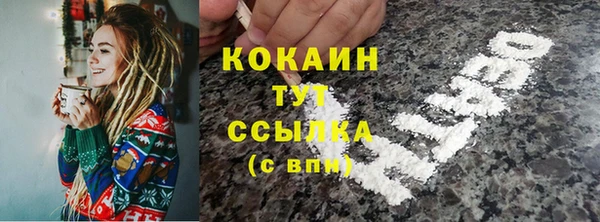 соль ск Арсеньев